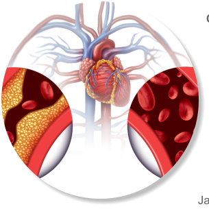 Mastoura Iliyav Chelat